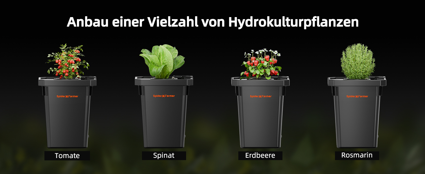 DWC Hydrokultur Anbausystem