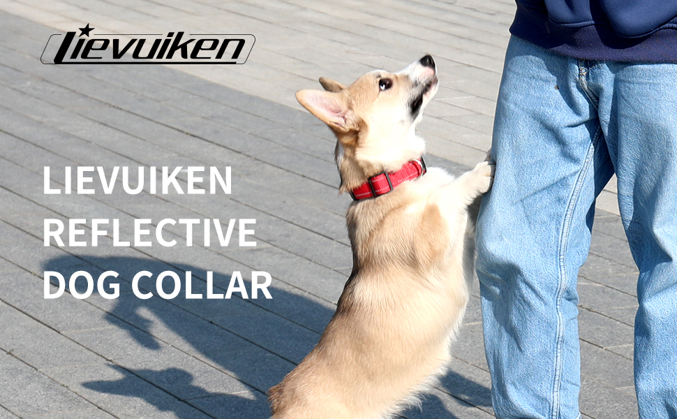 LIEVUIKEN reflective dog collar