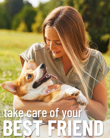 dog flea & tick prevention