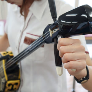 Amazon.co.jp: 三線 標準サイズ沖縄三線 初心者用ベーシックセット【海