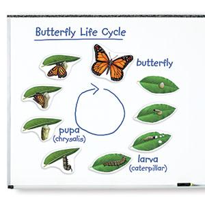 Small manufacture image 2