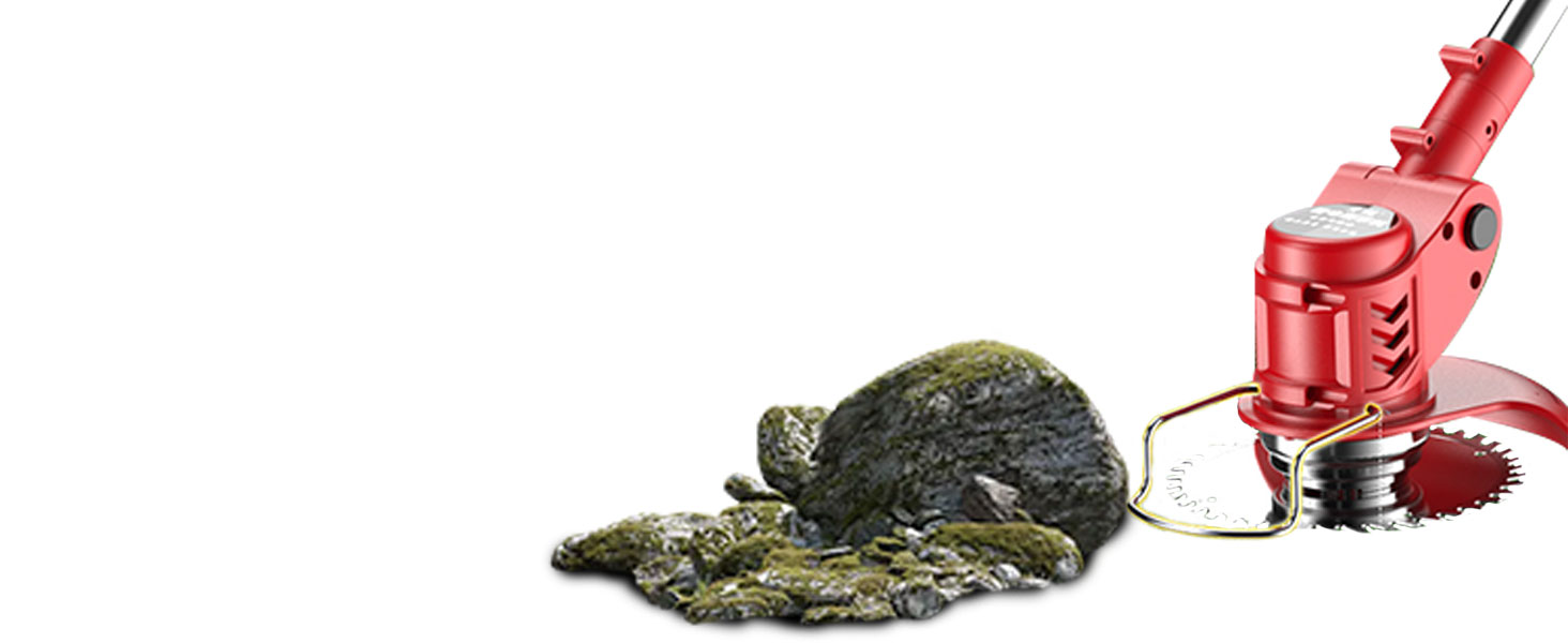 aa
