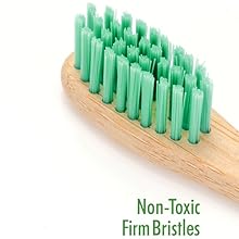 Firm bristles