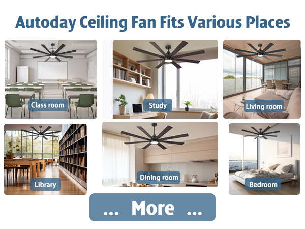 outdoor ceiling fan with light