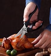 All Purpose Scissors