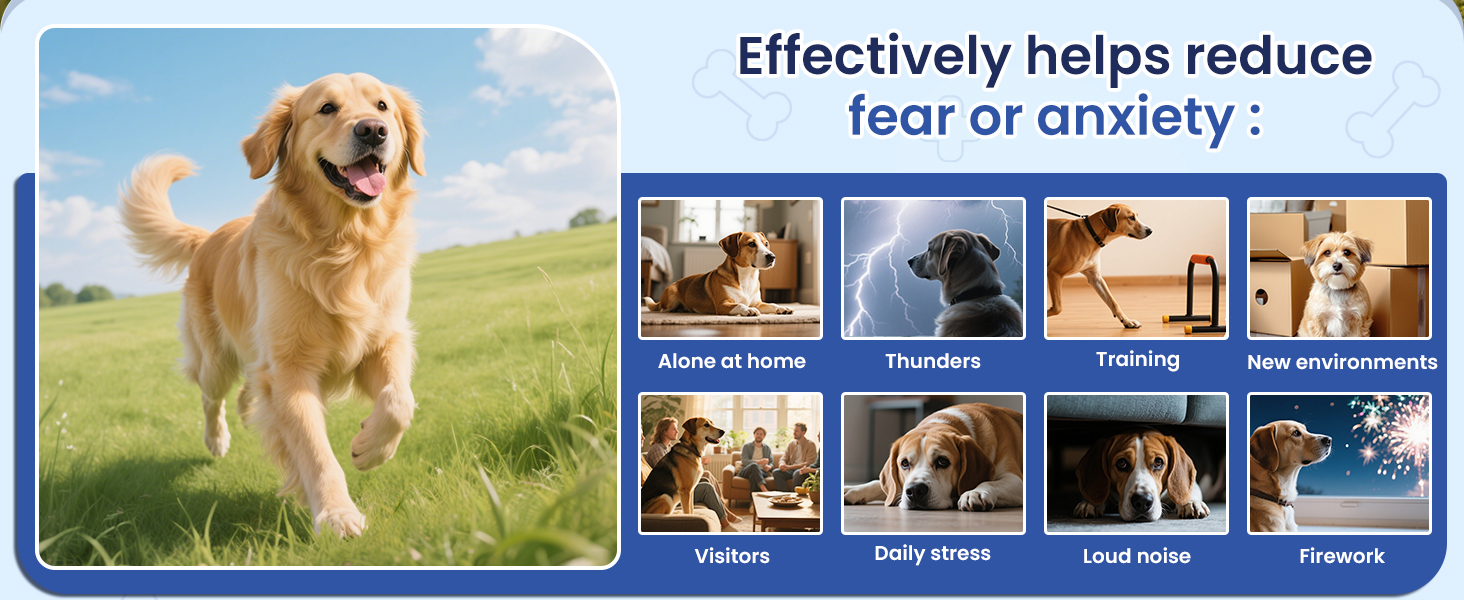 calming pheromones dogs