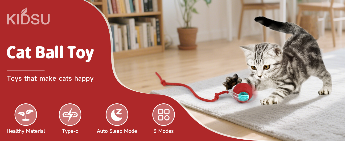 cat toy