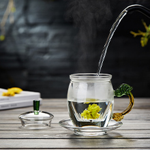 Glass Tea Cup with Infuser and Lid,Tea Infuser Mug with Saucer,Tea Mug,Tea Cup Set