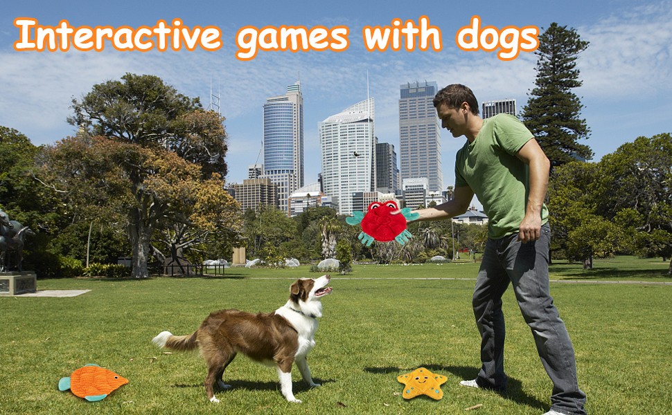 interacitive games