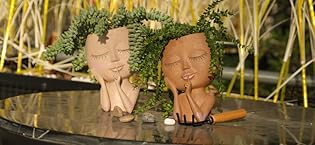resin face pots for plants