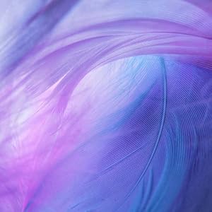 Platzhalter bild feder