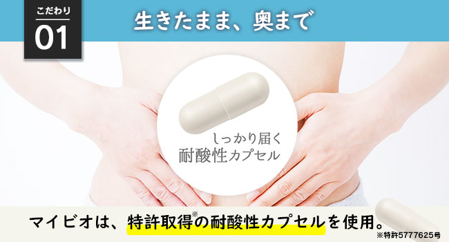 マクロファージさん専用 Amazon | RGW HXQD556Kタイプ QDダミーサプレッサー セット
