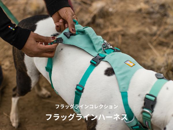 Amazon | RUFFWEAR(ラフウェア) 公式 フラッグラインハーネス