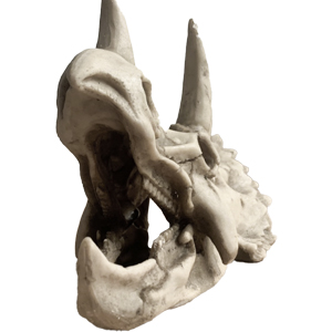 Reptiles Resin Triceratops Skull Hide Decoration