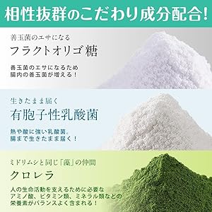 【新品未開封】エポラ ミドリムシナチュラルリッチ150粒×4袋 エポラ / ミドリムシ ナチュラルリッチ 150粒の公式商品情報