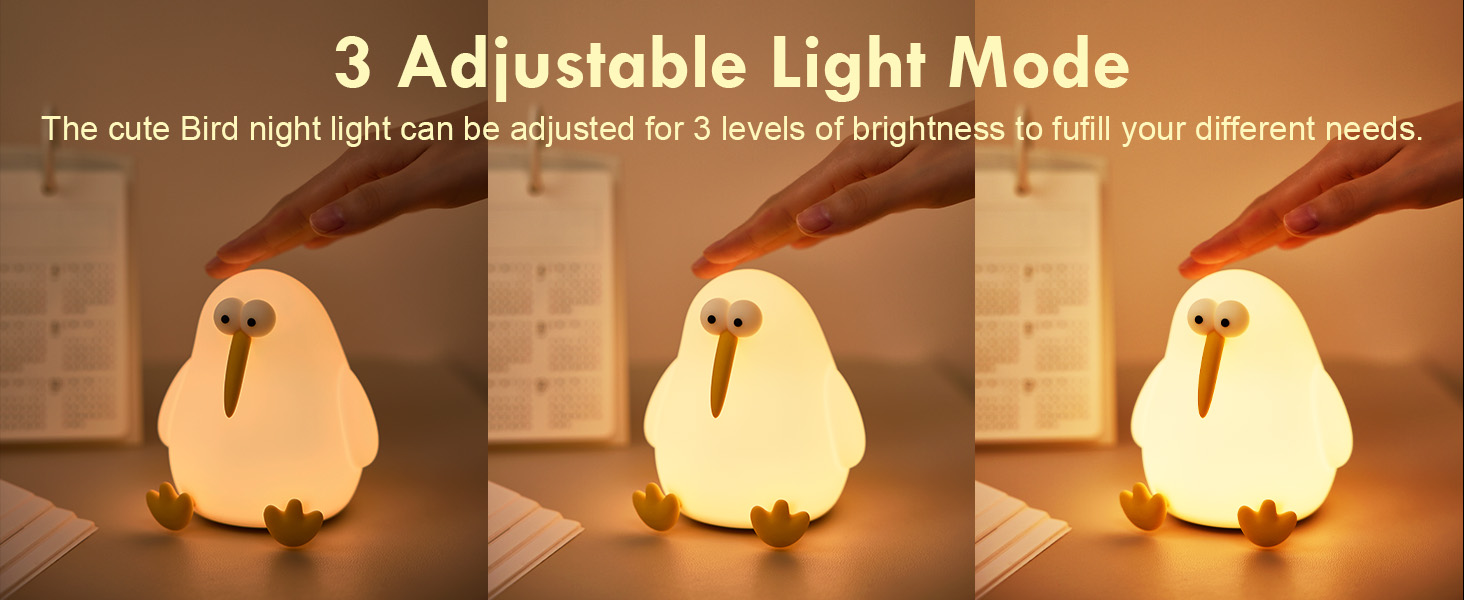 Bird Night Light