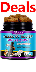 Itchy Dog Skin Relief