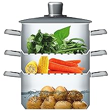 Versatile food steamer