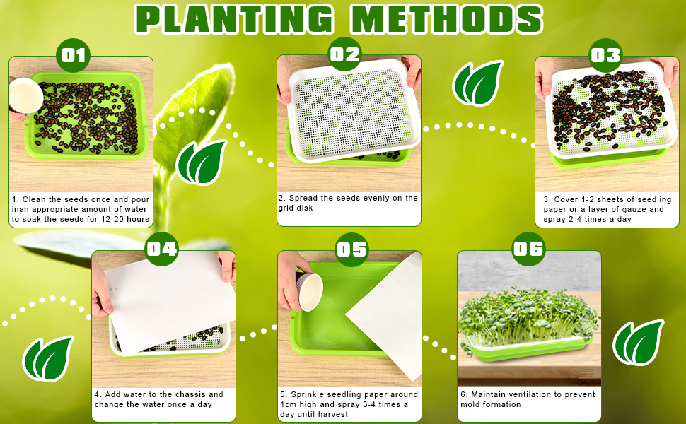 seed sprouting kit