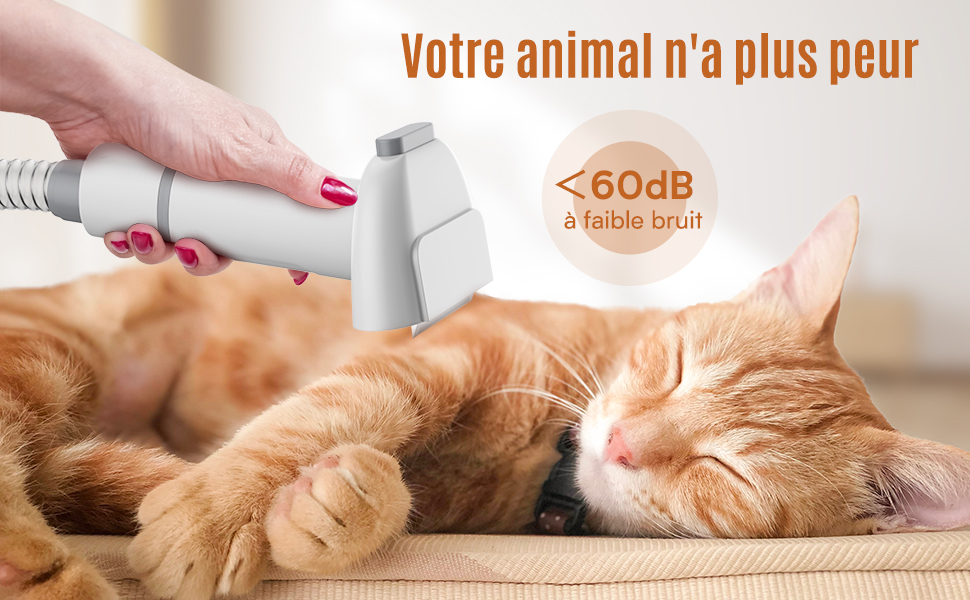 ZOMYE Aspirateur Poil de Chien Chat, Tondeuse Chien Professionnelle  Silencieuse, 12000 Pa, Tondeuse Chat avec 5 Outils de Toilettage, Aspire,  Tond et Brosse Tous Types de Poils 2,3L : : Animalerie