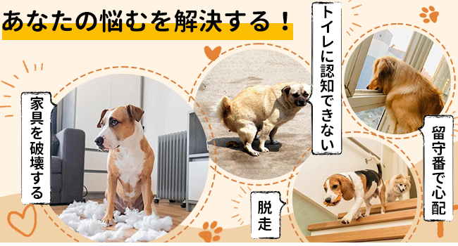 Amazon | Alebert ペットサークル 犬 サークル 幅77cm*高さ100cm