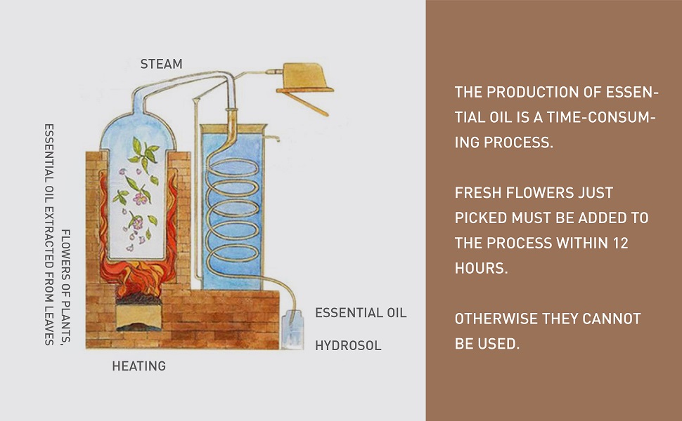 Natural Essential Oil