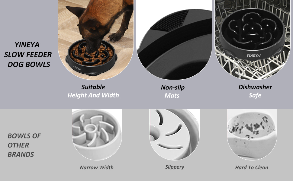 Slow feeder cat bowl