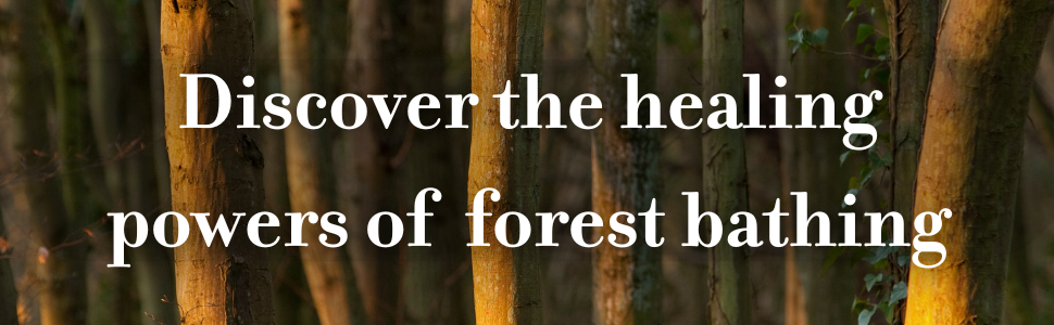 【中古】 The　Healing　Power　of　Forests The Healing Power of Forests: The Philosophy Behind