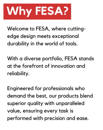 FESA brand story text