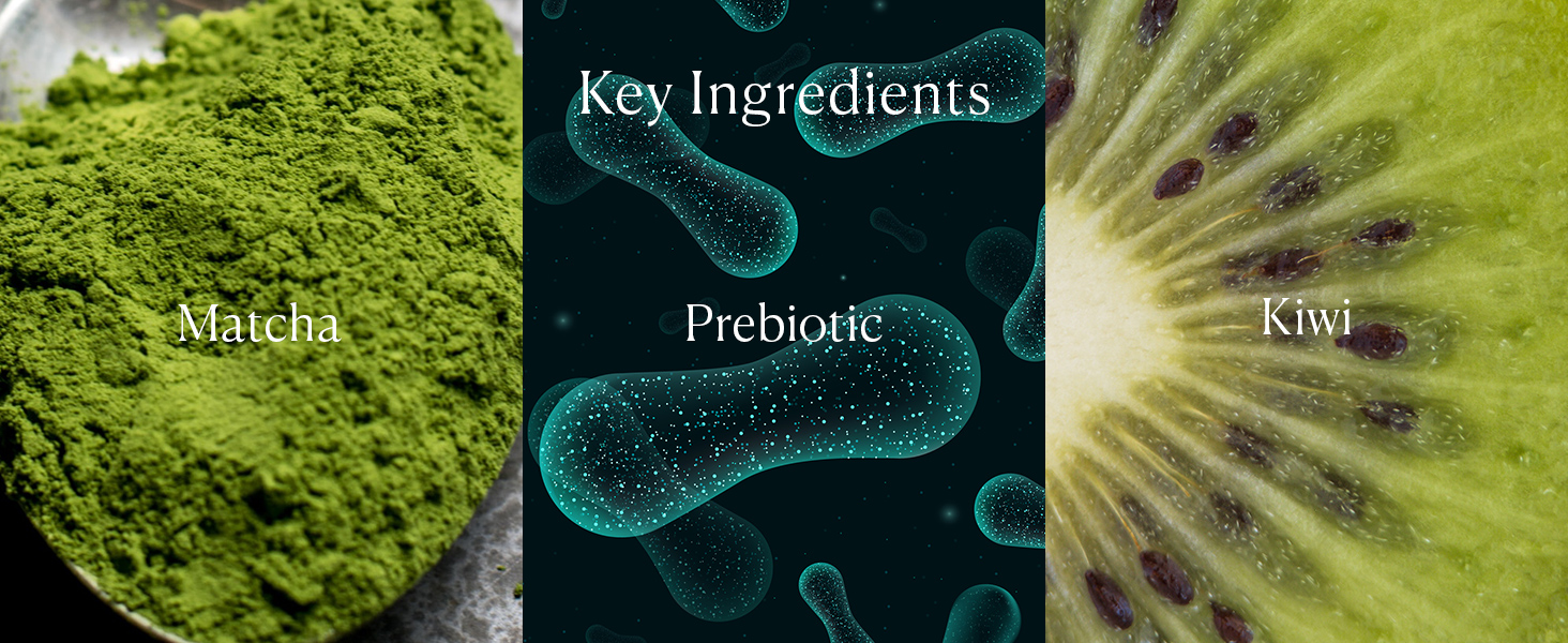 Superfood Matcha Eye Dew Key Ingredients