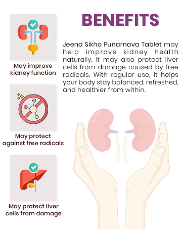 Buy Now Jeena Sikho Punarnava Tablet | Natural For Kidney Wellness |... 15 5