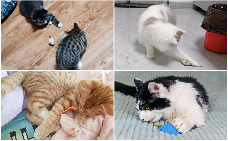 10 Pack Catnip Cat Toys, Cat Toy Catnip Mice, Interactive Cat Toy for
