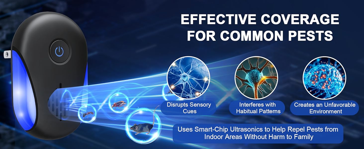 Functional upgrades in 2025