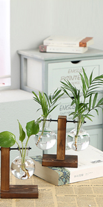 水耕栽培花瓶 電球形ガラス瓶 水栽培 木製枠 花瓶 卓上花瓶 一輪挿し 花瓶花器 シンプル おしゃれ テラリウム容器 店舗 オフィス 家の装飾用 インテリア飾り ガラス花瓶 プレゼント 北欧風