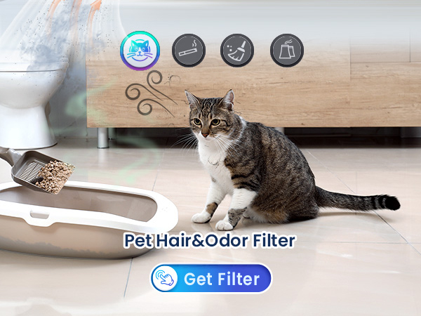 air purifiers for pets