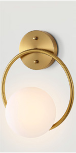 1-Light Modern Elegant Globe Wall Lamp