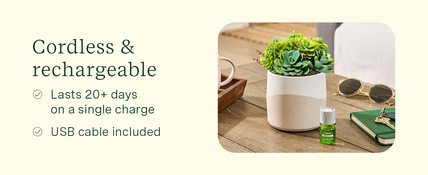 aromatic surface lasting massage humidificador smooth fast birthday meditation essence soothing