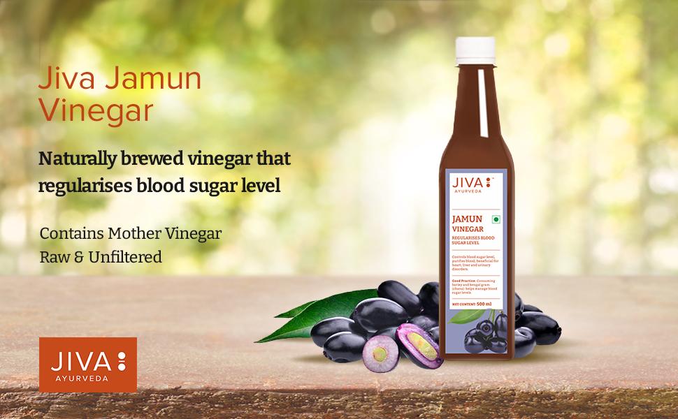 JIVA Jamun Vinegar 500 ML Pack of 1 Amazon.in Grocery & Gourmet Foods