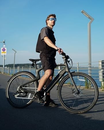 lectric ebike