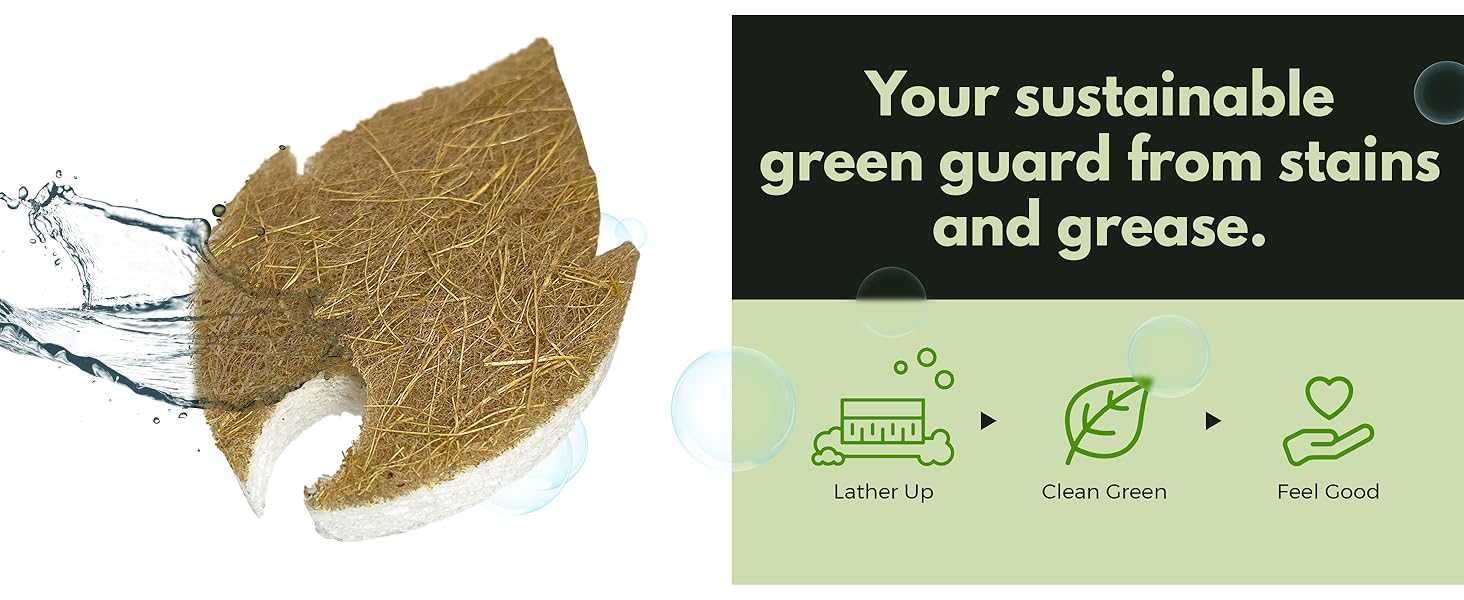 Leaf Sponges