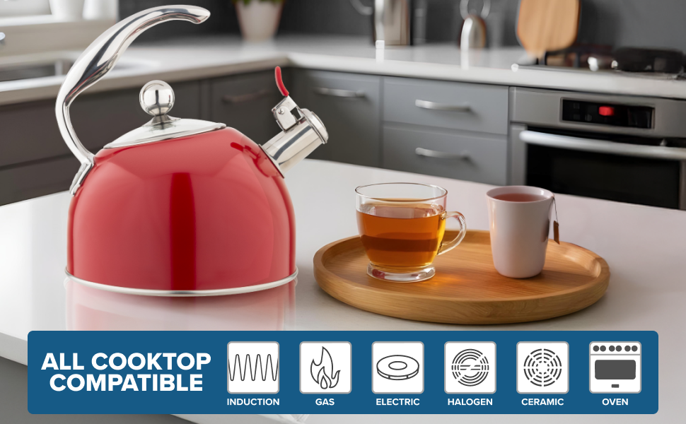 whistling kettle hot water kettle hot water tea kettle whistle tea kettle stainless steel tea kettle