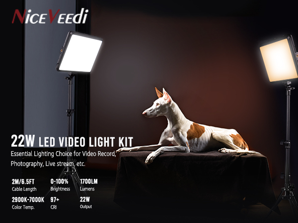 Amazon.com : 2-Pack Photography Lighting Kit, NiceVeedi 22W