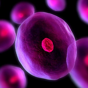 cell