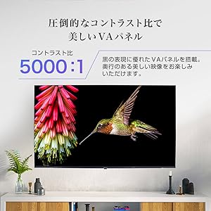 Amazon.co.jp: MAXZEN テレビ 50型 4K対応 2022年新モデル 液晶