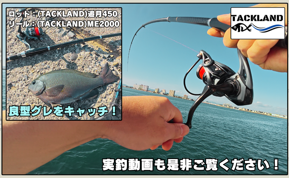 Amazon | 【TACKLAND】 高コスパ 磯釣り入門＆ベテランも使いやすい