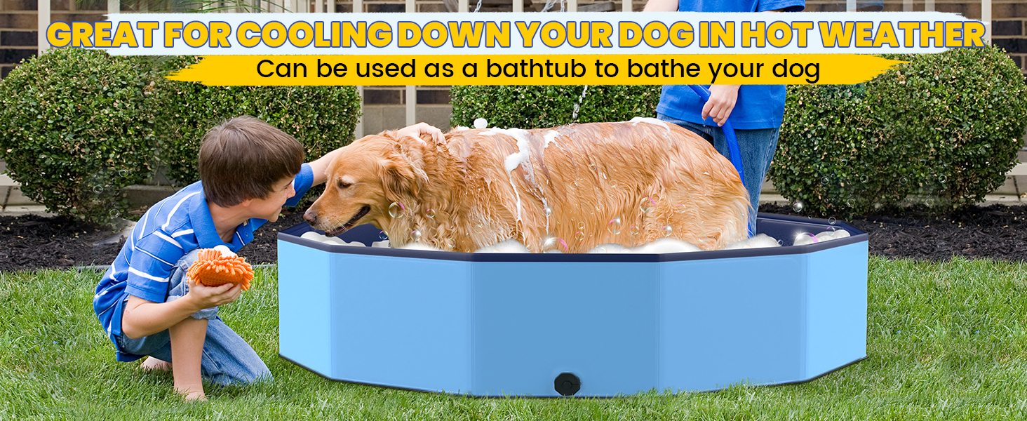 Pool for lager dogs and kids