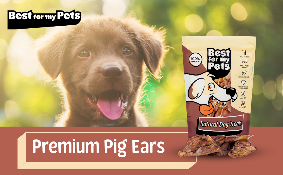 Best For My Pets Pig Ears for Dogs (Whole, 100Count Bulk