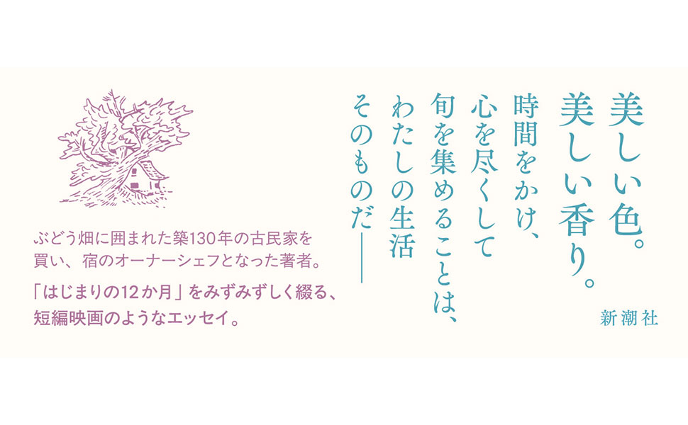 わたしの美しい戦場 Amazon.co.jp: わたしの美しい戦場 : 寿木 けい: 本