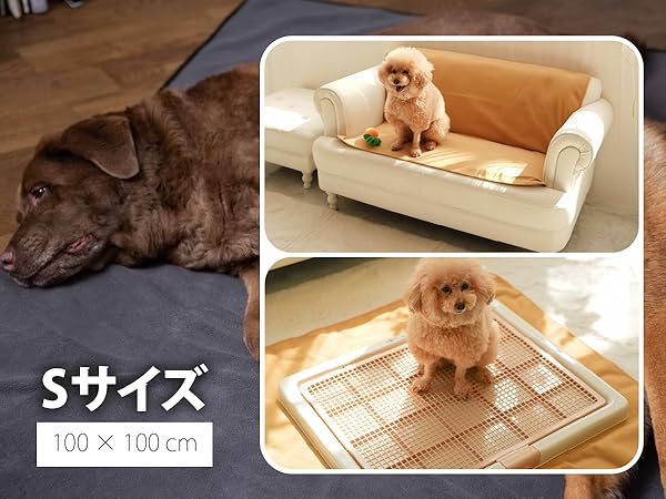 Amazon.co.jp: INULABO(イヌラボ) 大判 床保護マット (165×122cm