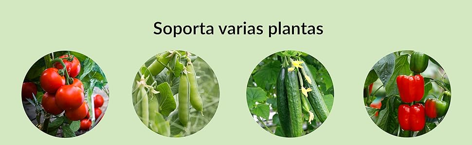Jaula para tomates